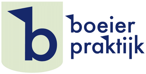 Logo Boeierpraktijk